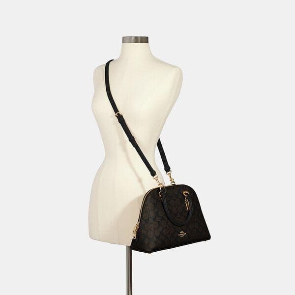 Coach Katy Satchel In Signature Canvas