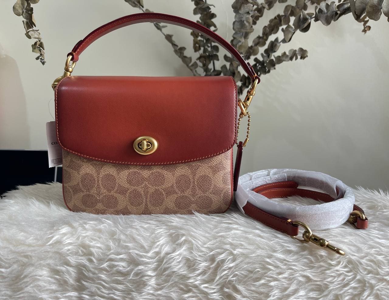 Coach Cassie 19 Crossbody In Signature Canvas