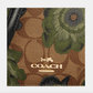 Coach Mini Serena Crossbody In Signature Canvas With Kaffe Fassett Print